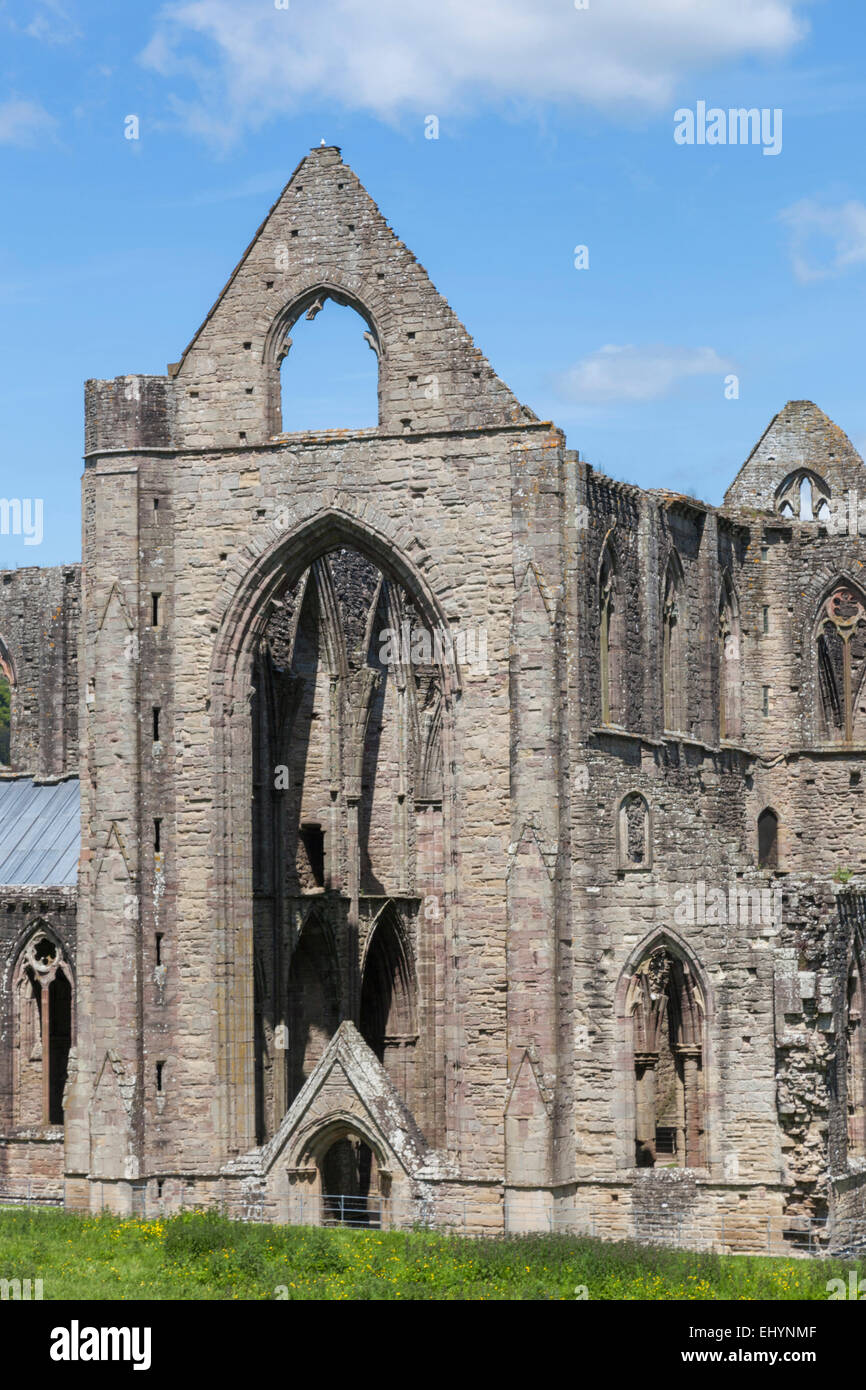 Wales, Monmouthshire, Tintern Abbey, ruin Stock Photo - Alamy
