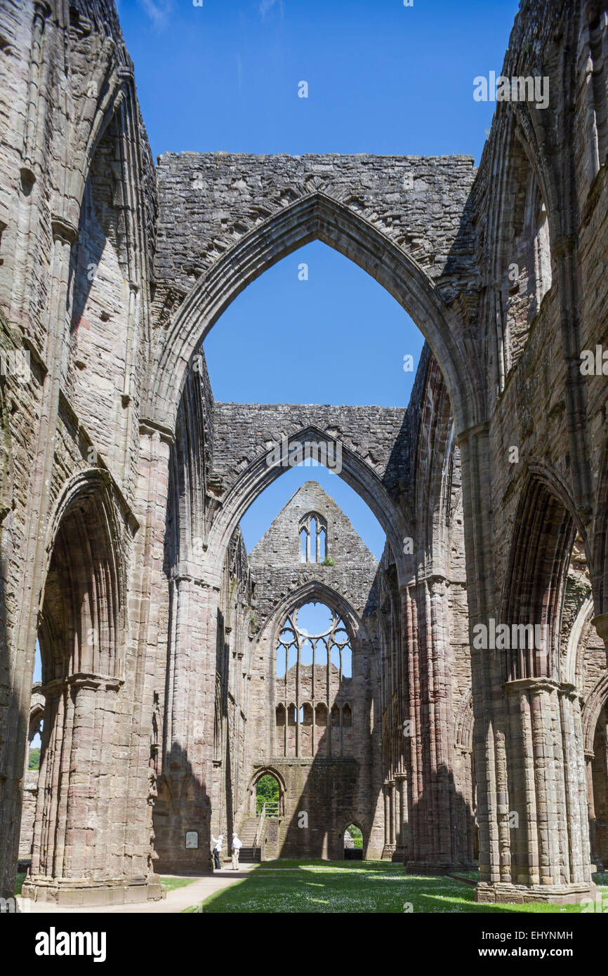 Wales, Monmouthshire, Tintern Abbey, ruin Stock Photo - Alamy