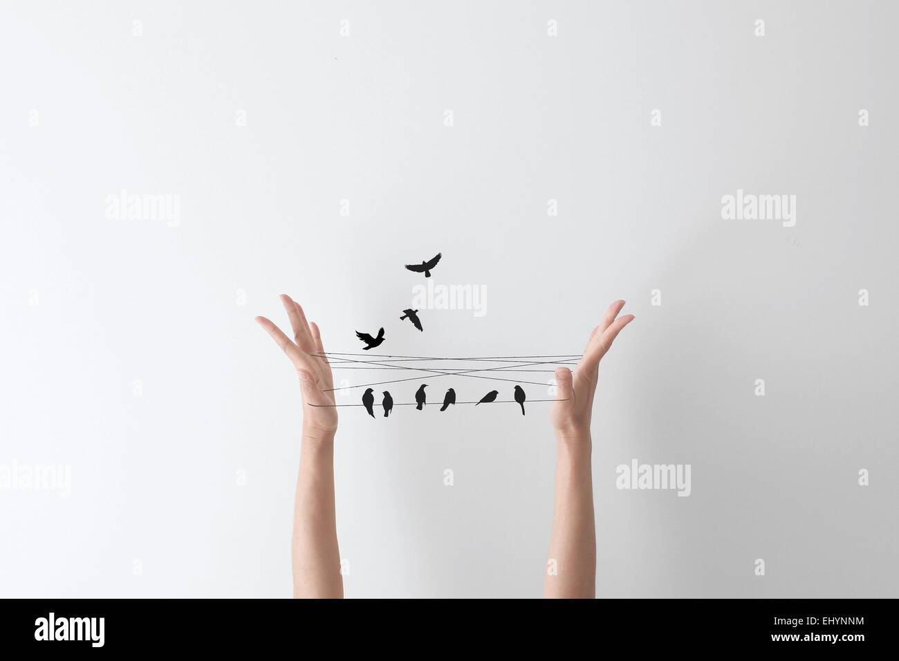 String hand game with birds perched on the string Stock Photo