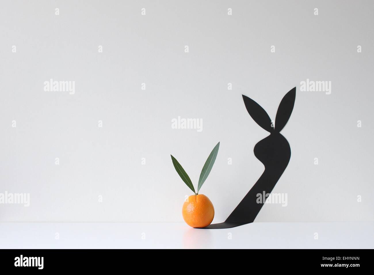 An orange with two leaves attached casting a shadow of a rabbit Stock Photo