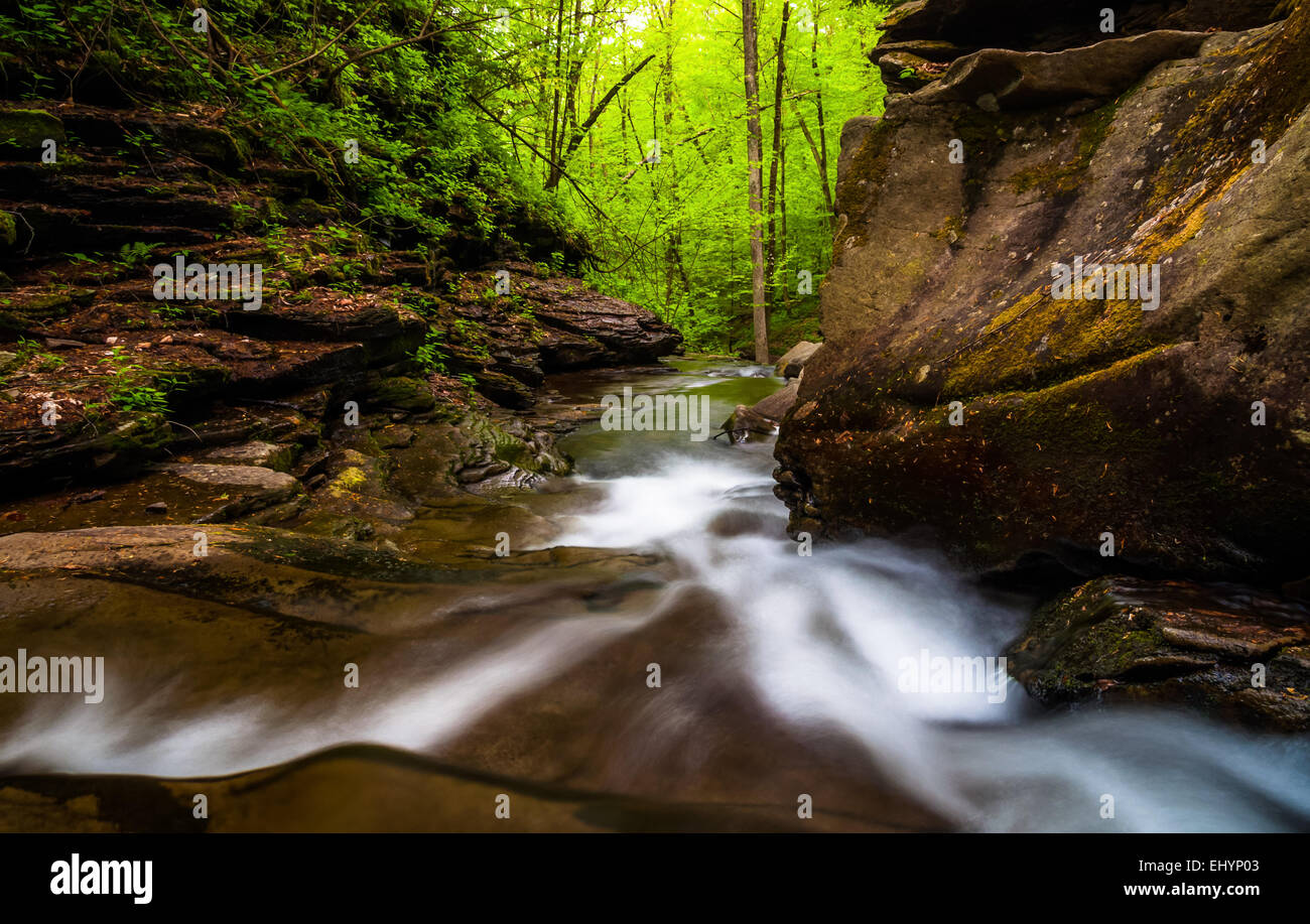 Kitchen Creek cascades downstream through Glen Leigh, in Ricketts Glen State Park, Pennsylvania. Stock Photo