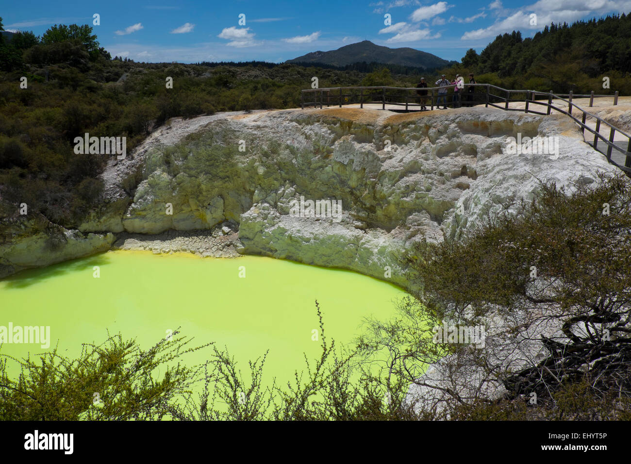 Devil's Bath, Wai O Tapu, natural lime green pool, North Island, New Zealand Stock Photo