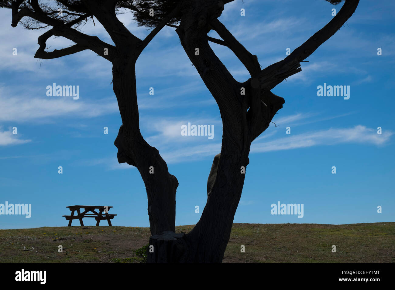 Silhouette of bench and tree, Swansea Promenade, Wales, UK Stock Photo