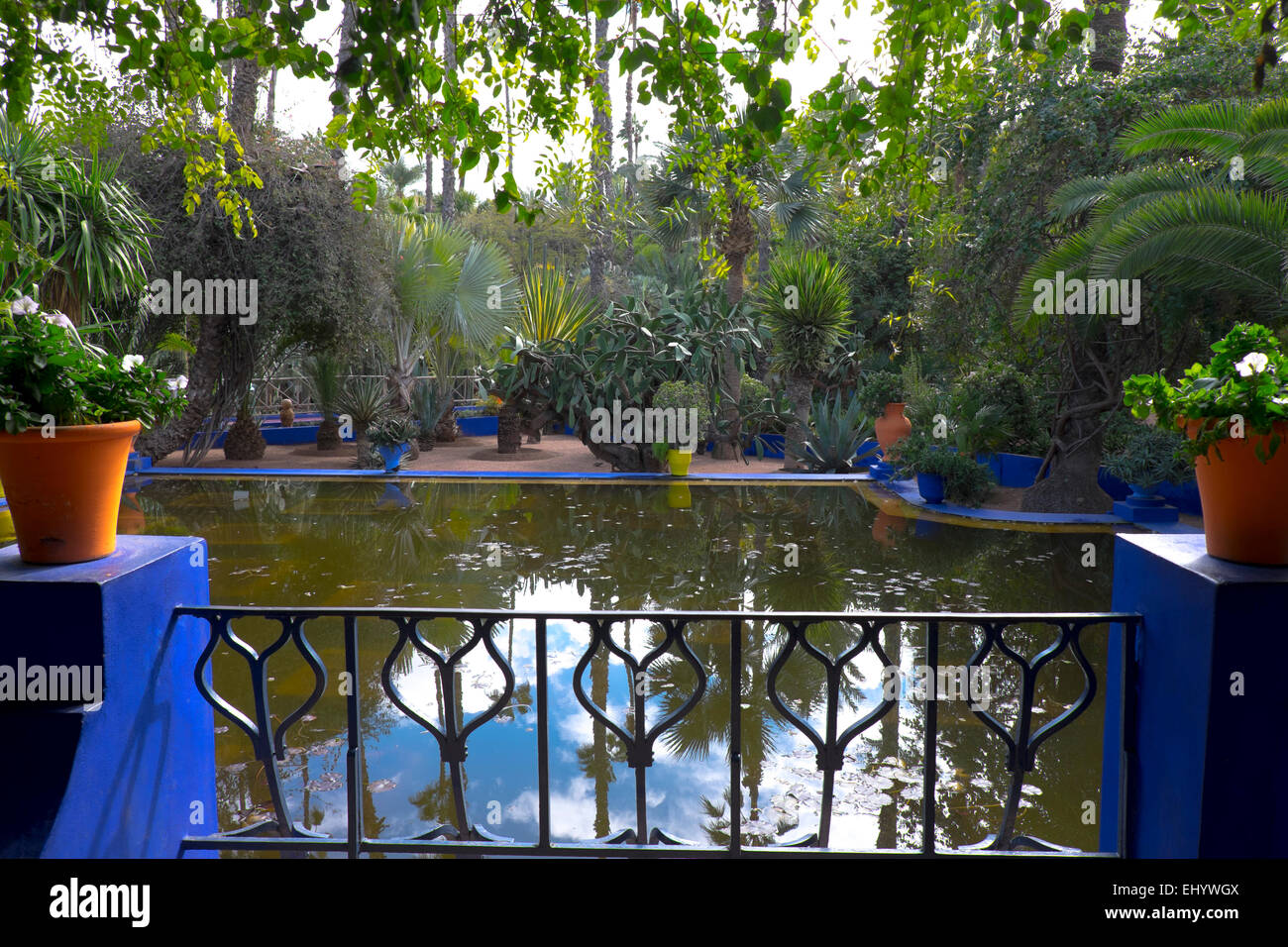 Majorelle Gardens Marrakesh Marrakech Morocco North Africa Stock majorelle-gardens-marrakesh-marrakech-morocco-north-africa-stock