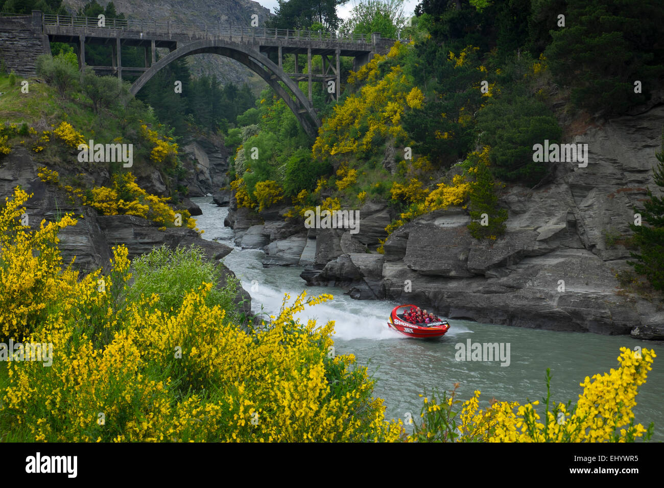Jet boat speeding into the Shotover River canyon under the Edith Cavell Bridge at Arthurs Point,Queenstown, South Island,  New Z Stock Photo