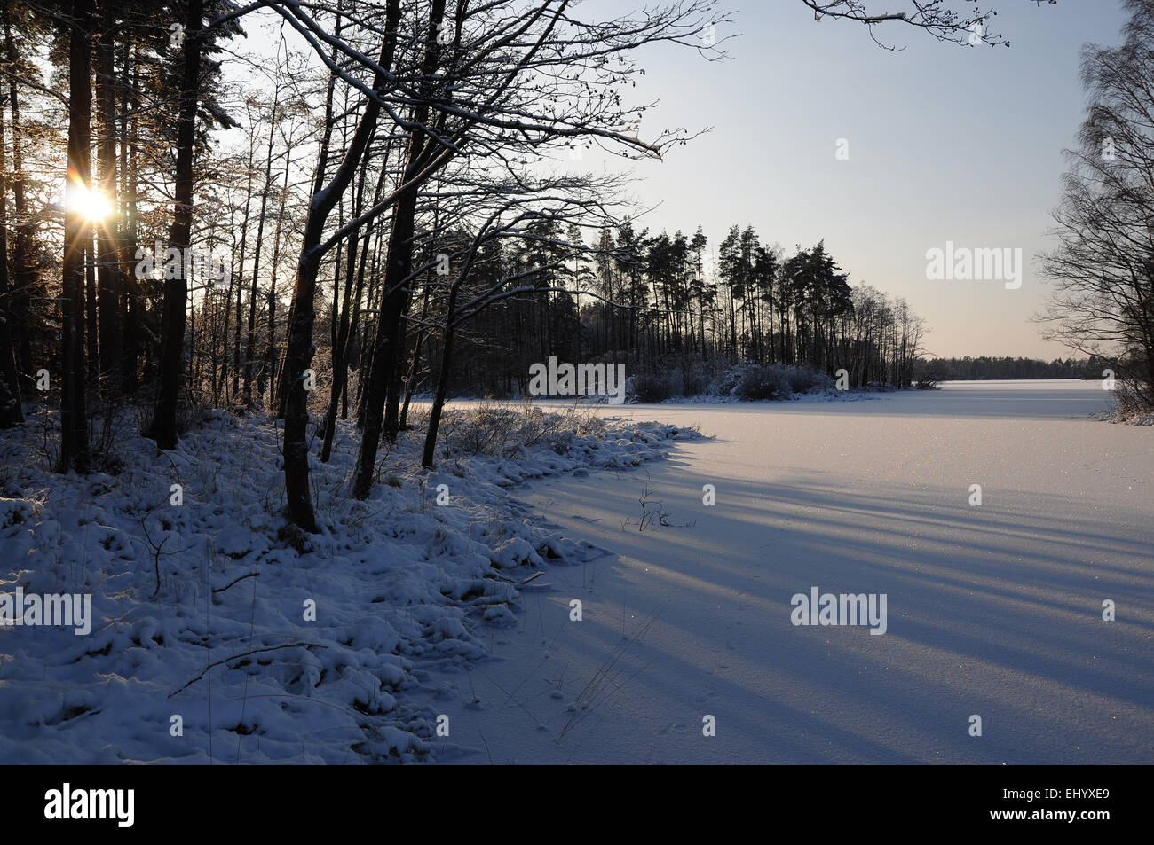 Swedes, Europe, Skane, örkeljunga, lake, storsjö, froze, winter, suns itself, shore, snow, island, isle, Stock Photo