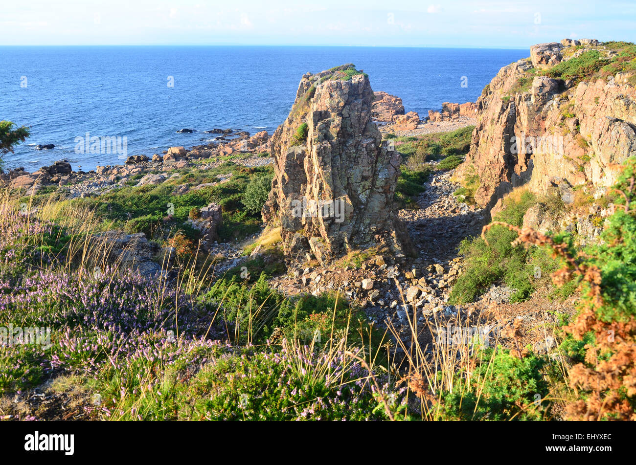 Sweden, Europe, west coast, sea, hovs hallar, Halland, nature reserve, cliffs, stone beach, summer, evening, rock, cliff, Stock Photo