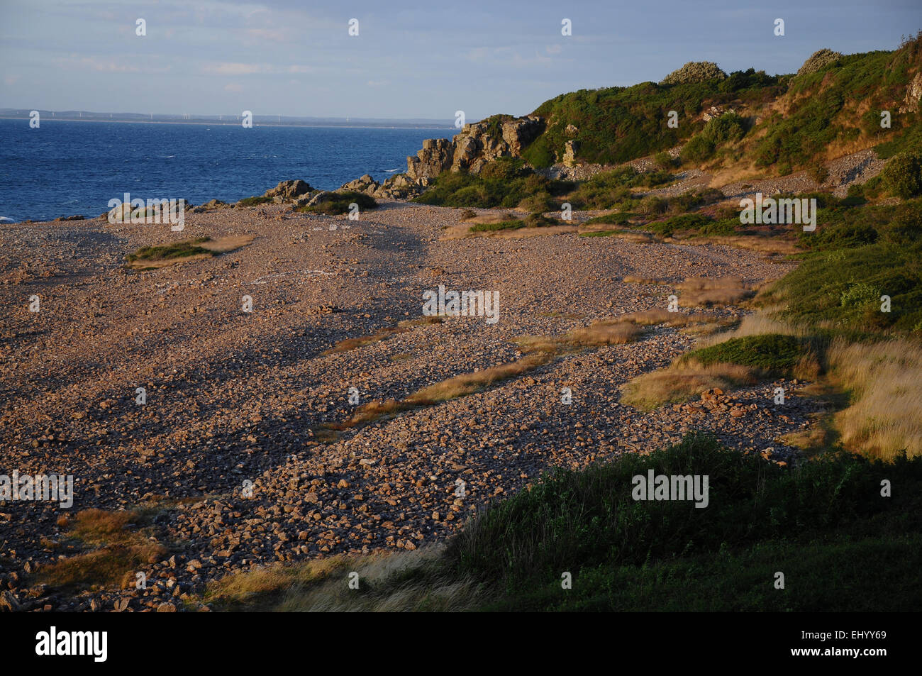 Sweden, Europe, west coast, sea, hovs hallar, Halland, nature reserve, cliffs, stone beach, summer, evening Stock Photo