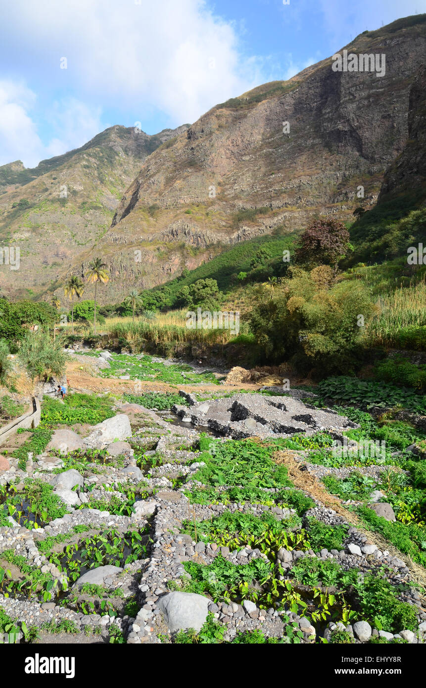 Cape Verde, Cape Verde Islands, Santo antao, Paul, valley, eito, rocks ...