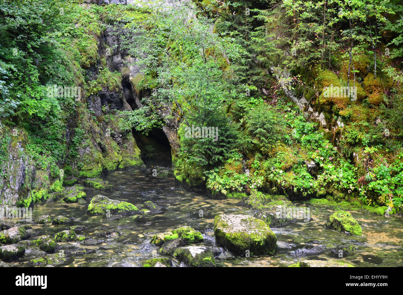 France, Europe, Jura, spring, source, source, Doubs, mouthe, rocks, cliffs, river, flow, Stock Photo