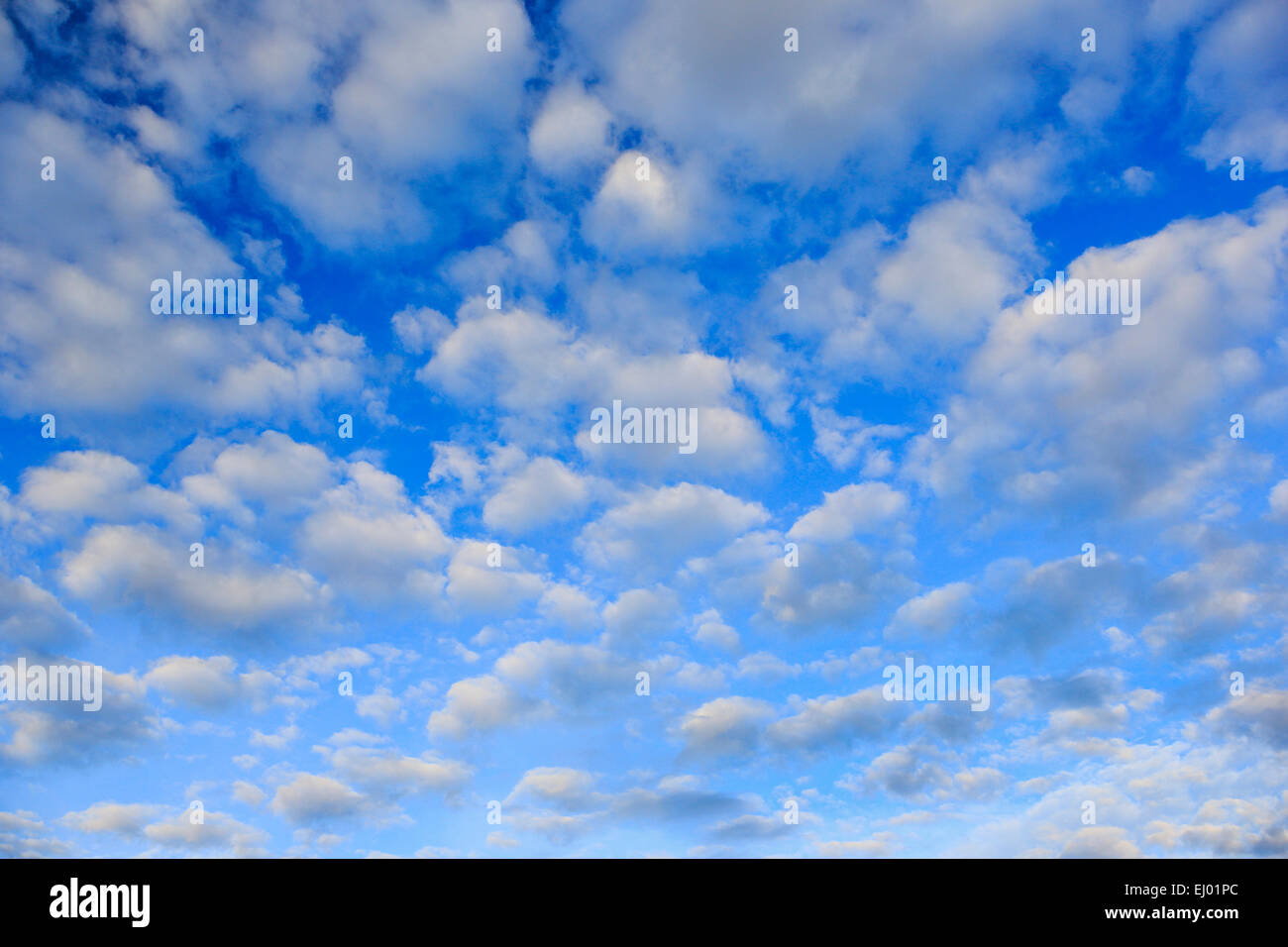 Mây, những đám mây trắng trong xanh được coi là biểu tượng của sự thanh bình. Hình ảnh của chúng đưa chúng ta đến thế giới giữa núi non và trời đất. Hãy mơ mộng cùng với những bông mây trắng lông vũ nhưng không kém phần bình yên.