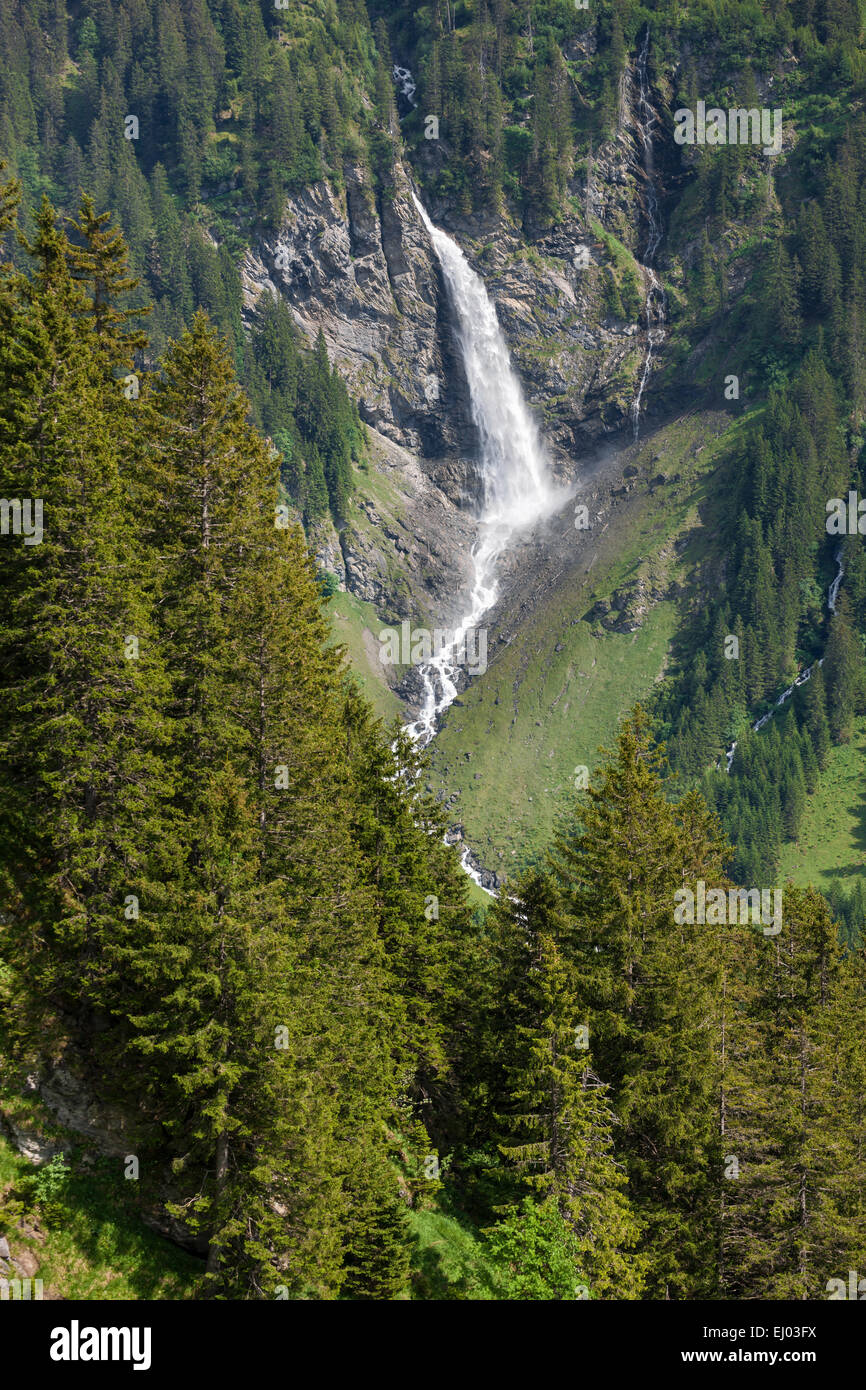 To dust waterfall, Switzerland, Europe, canton, Uri, valley of schachen Stock Photo