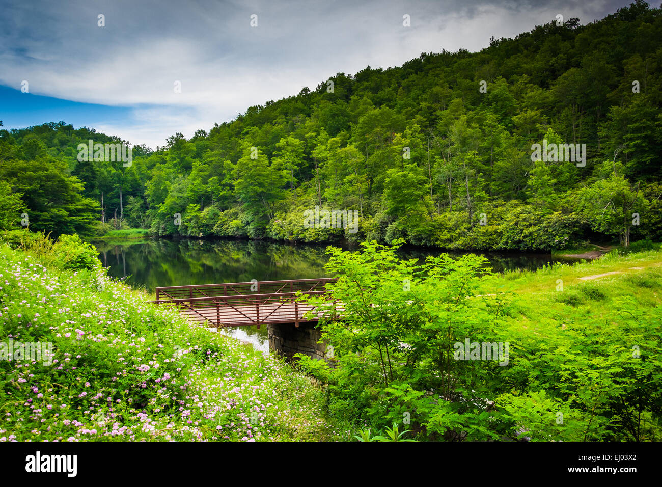 Pond at Julian Price Memorial Park, along the Blue Ridge Parkway near Blowing Rock, North Carolina. Stock Photo