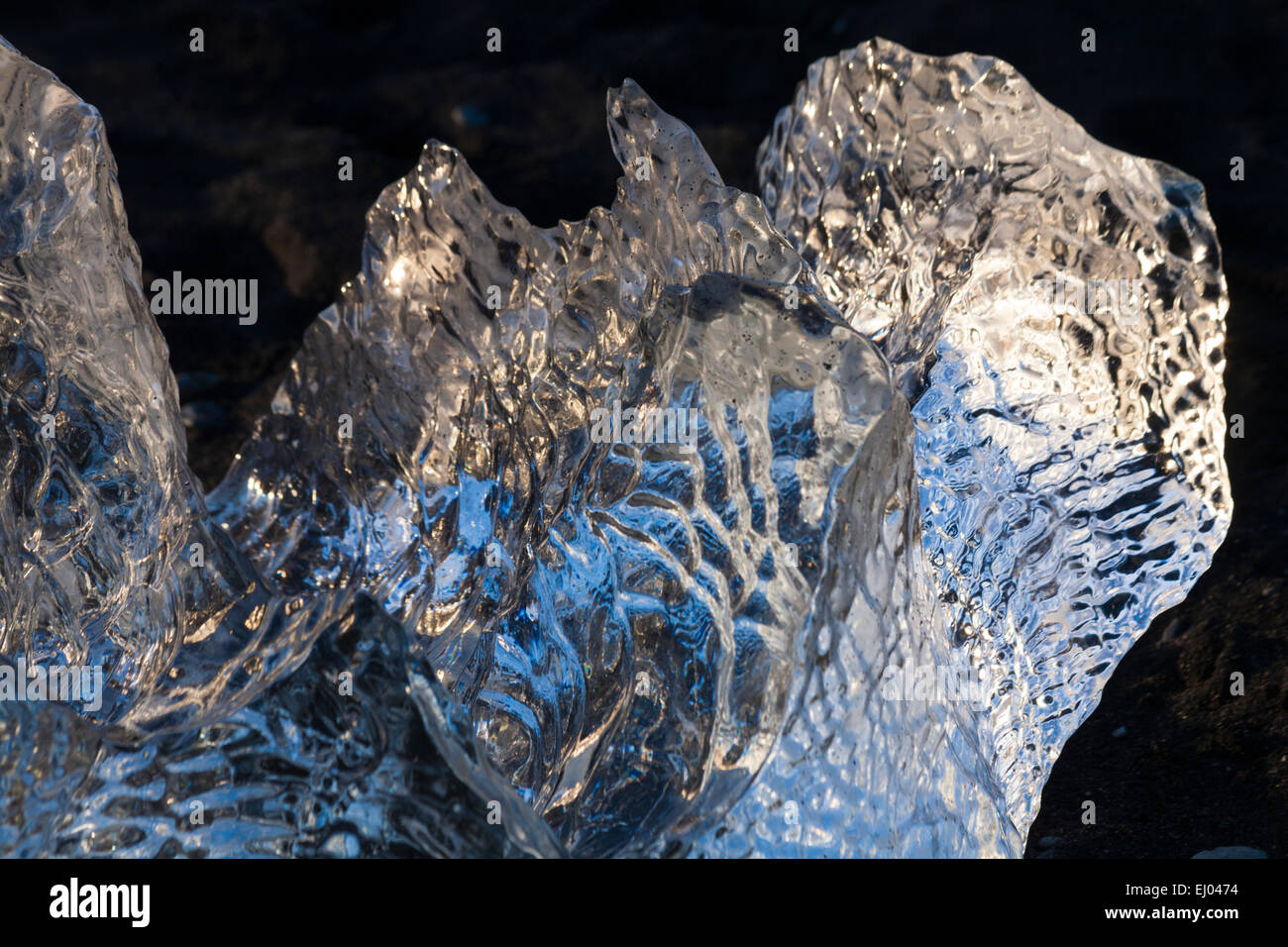 patterned shapely block of ice contrasting with black sand at Jokulsarlon Glacial beach, Diamond beach, Iceland in February - iceberg ice patterns Stock Photo