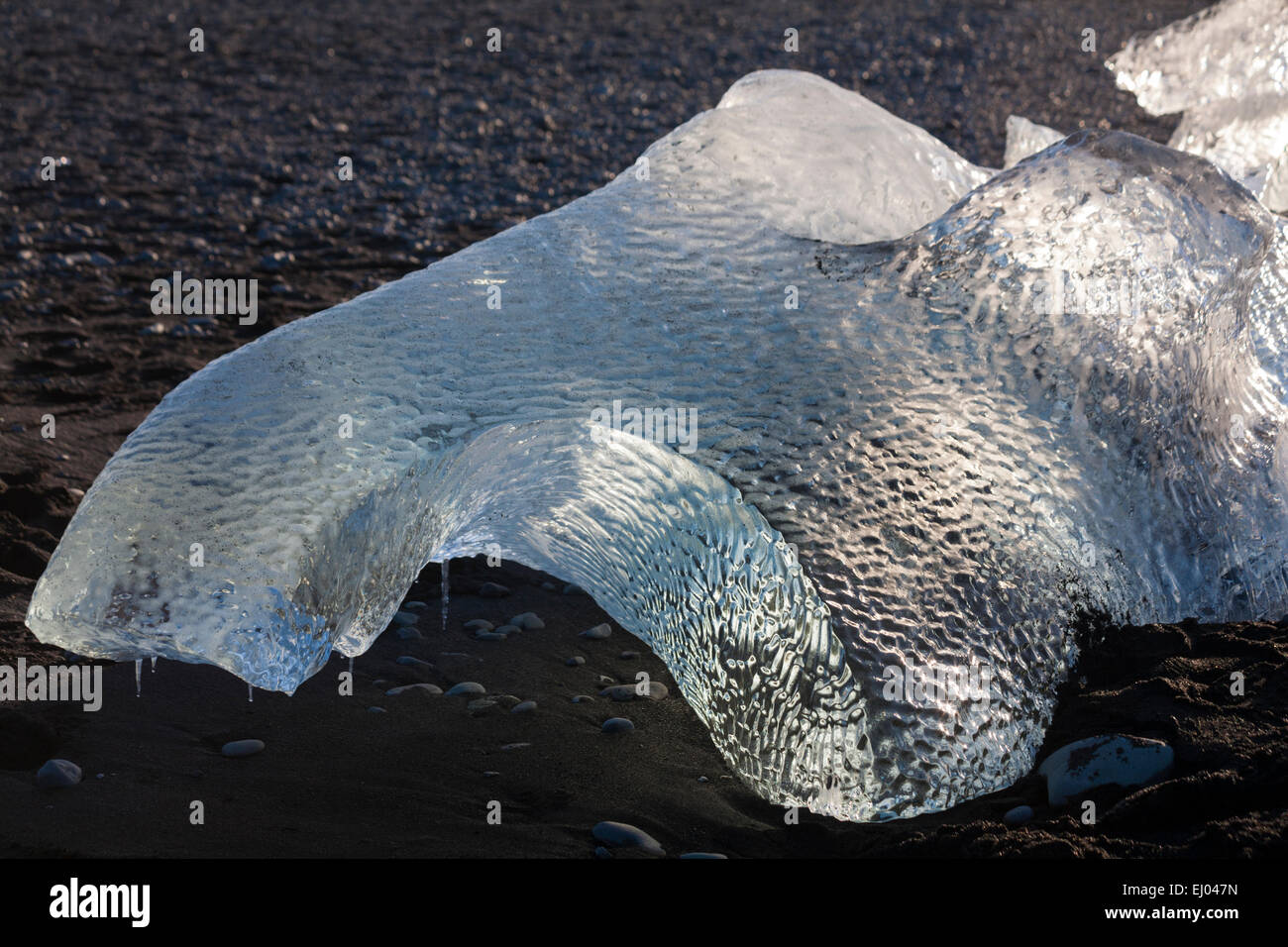 Irregular Ice Block patterned shapely block of ice contrasting with black sand at ...
