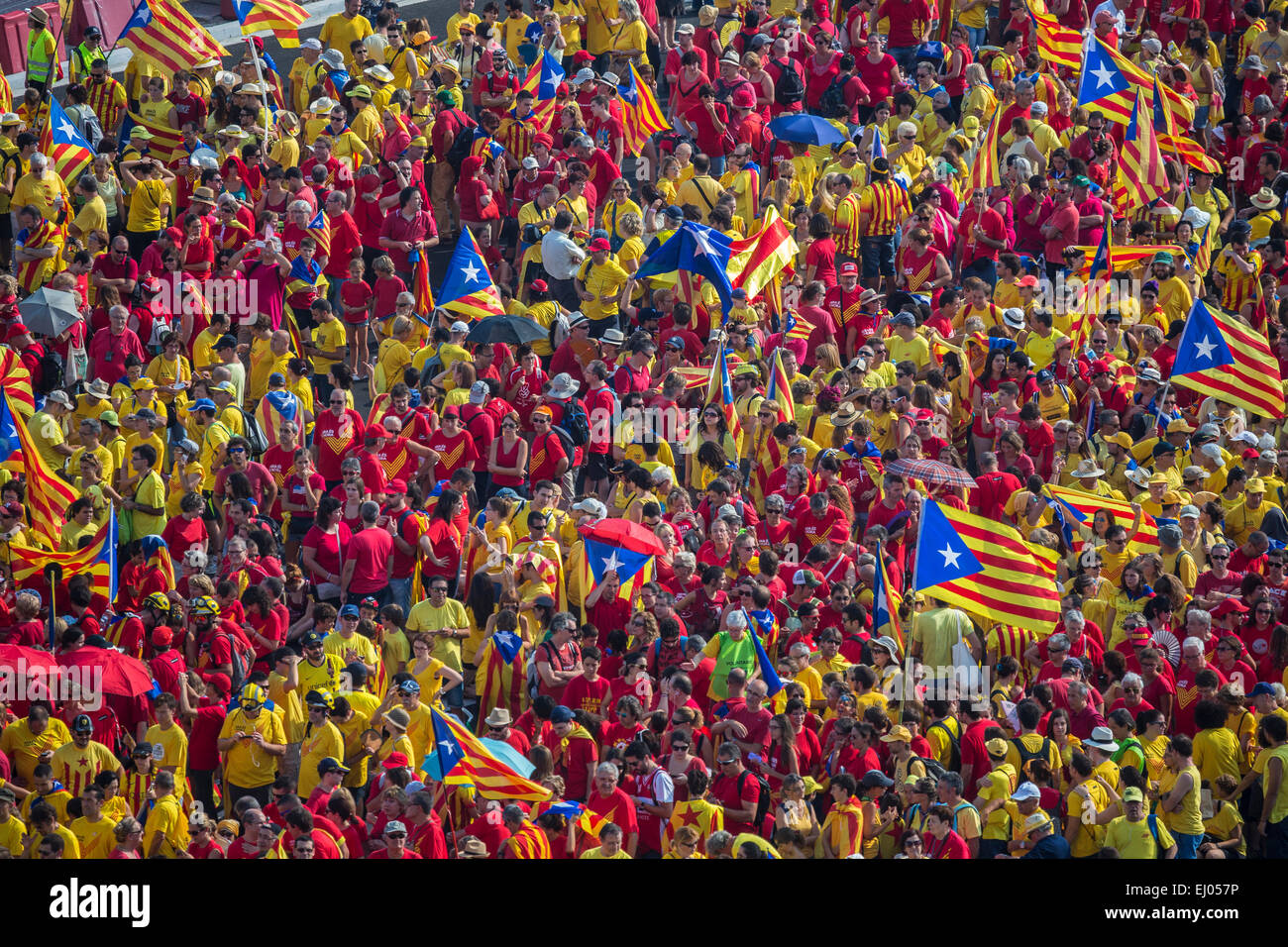 Diada, Barcelona, City, Catalonia, celebration, colourful, crowd, Demonstration, no model-release, flags, history, independence, Stock Photo