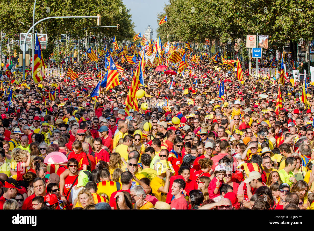 Barcelona, City, Espana, Square, flags, Catalonia, celebration, colourful, crowd, Demonstration, no model-release, history, indep Stock Photo