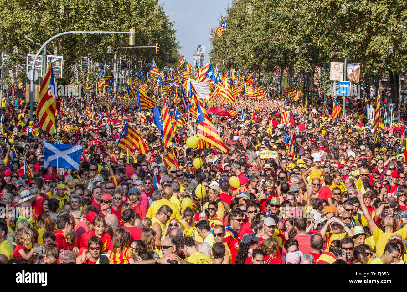 Barcelona, City, Espana, Square, flags, Catalonia, celebration, colourful, crowd, Demonstration, no model-release, history, indep Stock Photo