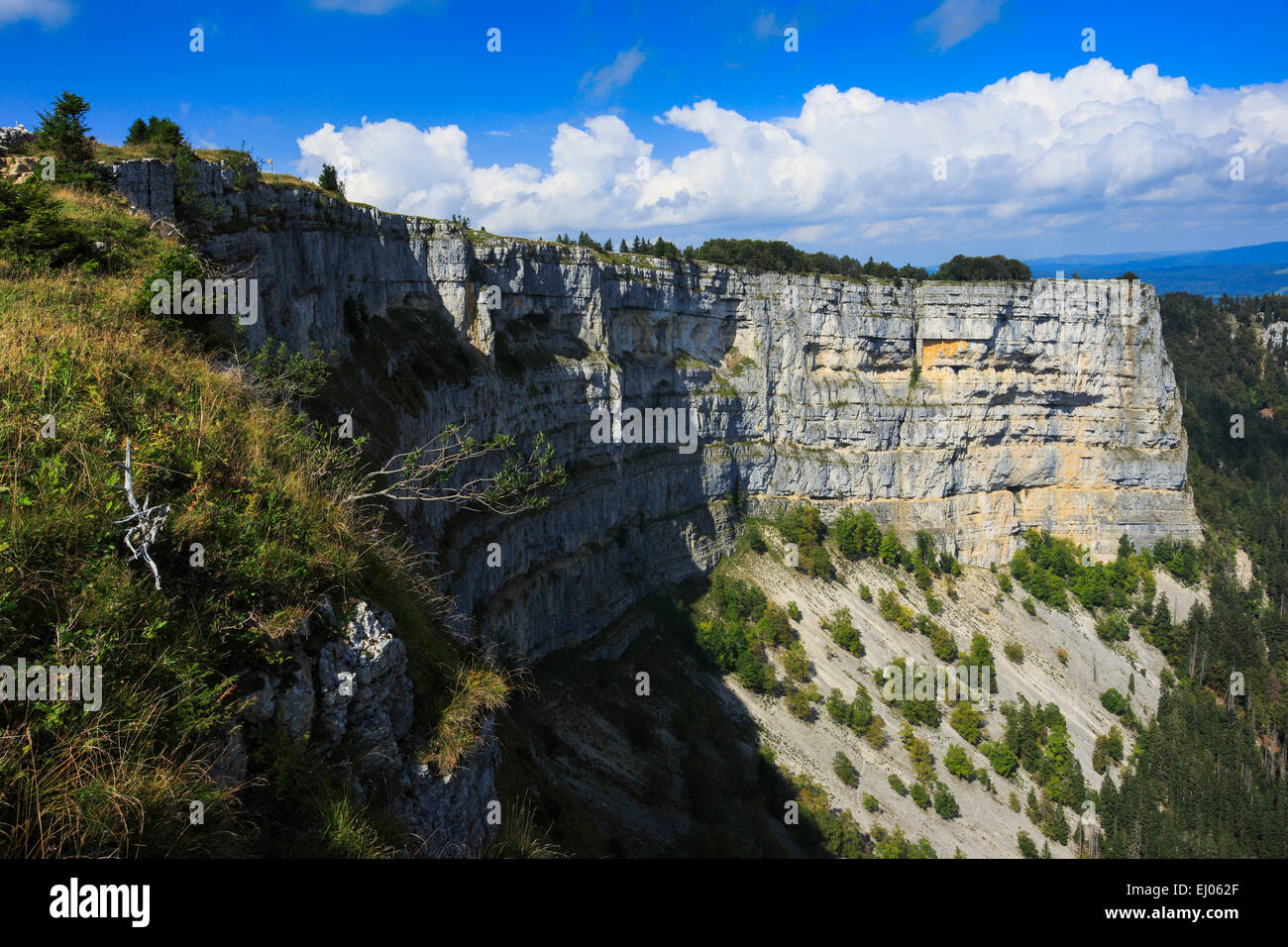 Alps, rocky cirque, cirque, view, mountains, mountain massif, trees, Creux du van, cliff, rock, cliff massif, cliff wall, mountai Stock Photo