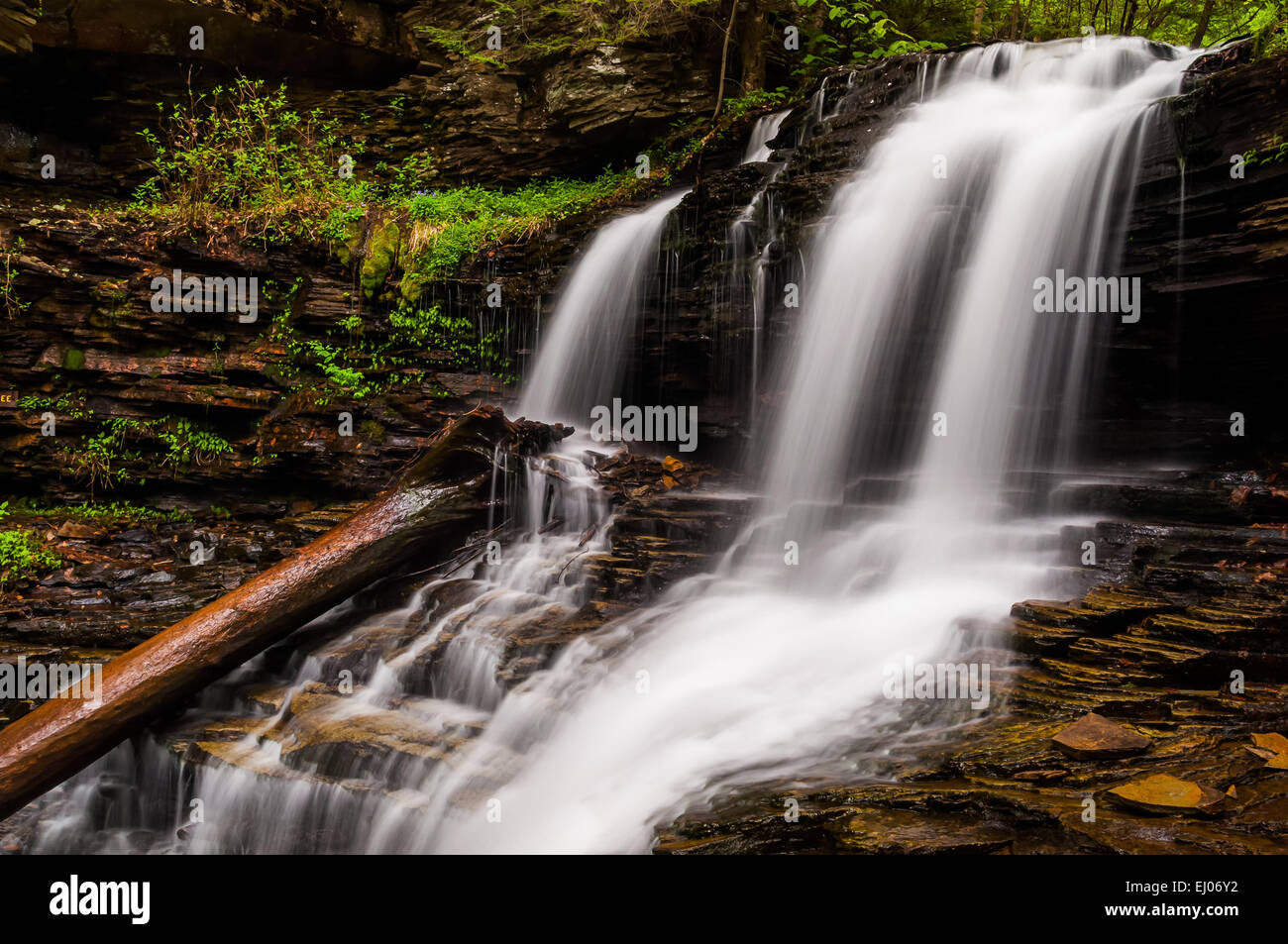 Shawnee Falls, at Ricketts Glen State Park, Pennsylvania Stock Photo