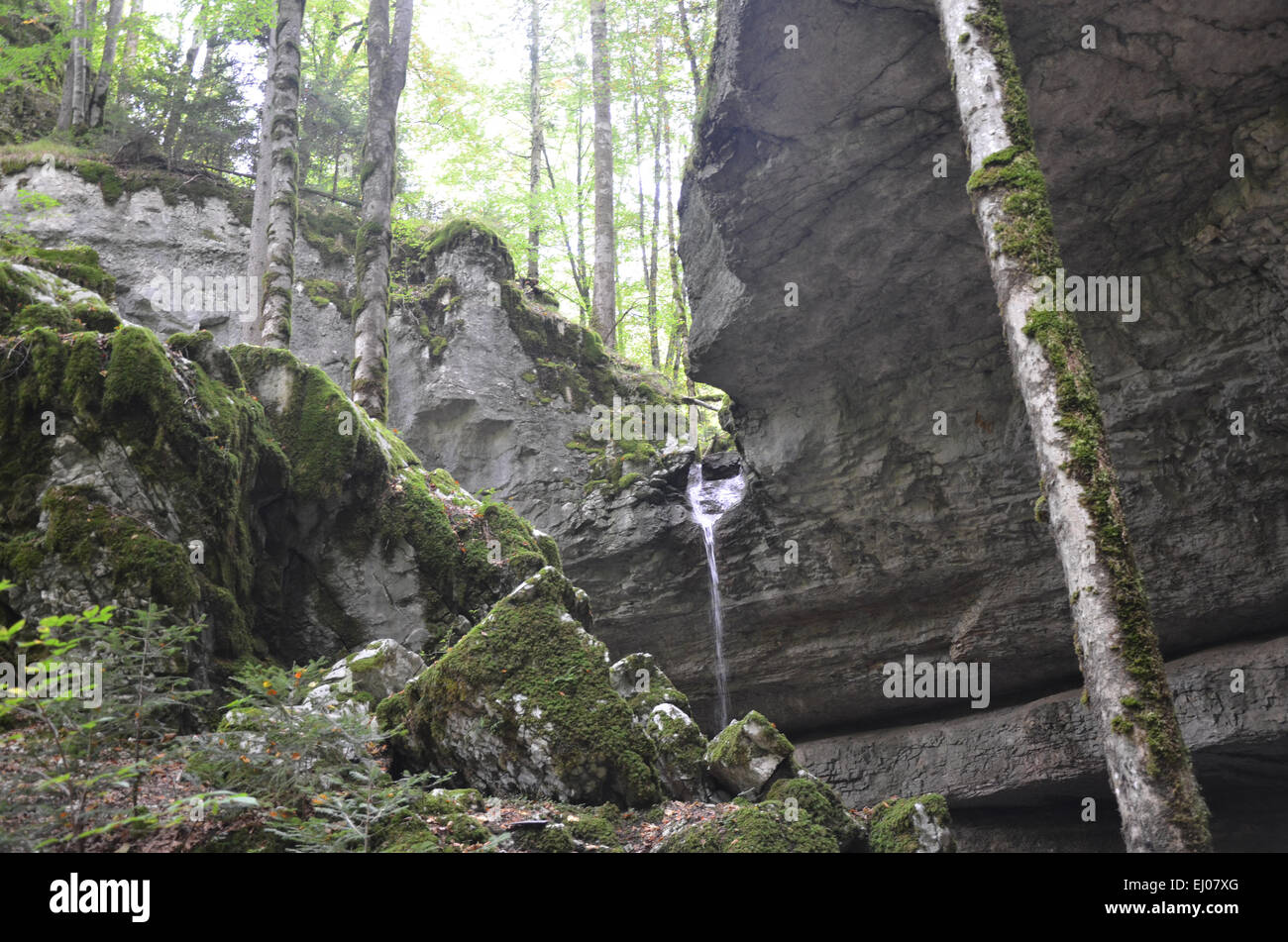 Switzerland, Europe, Jura, Goumois, Clos du Doubs, waterfall, Bief de Vautenaivre Stock Photo