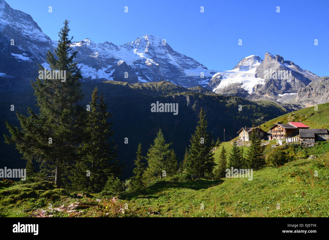 Switzerland Europe Canton Bern Bernese Oberland Valley switzerland-europe-canton-bern-bernese-oberland-valley