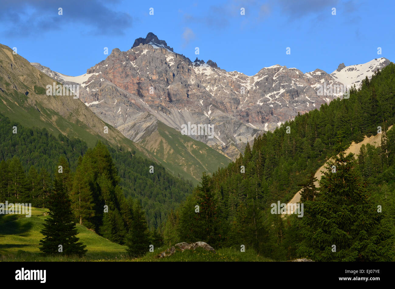Switzerland, Europe, Graubünden, Grisons, national park, Engadine, lower engadine, Val Trupchun, Piz Fier, mountain, summit, peak Stock Photo
