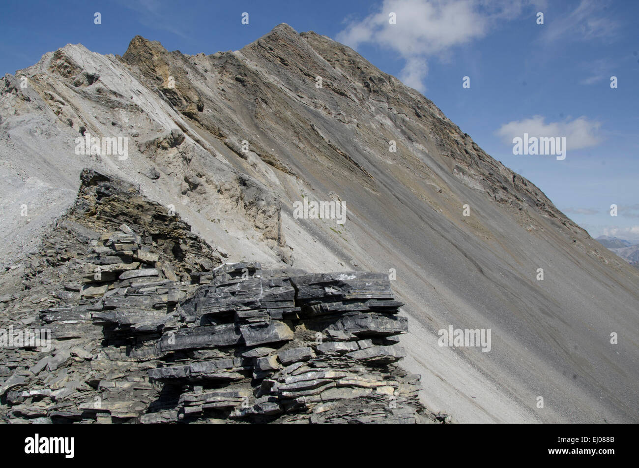 Brook muli hi-res stock photography and images - Alamy