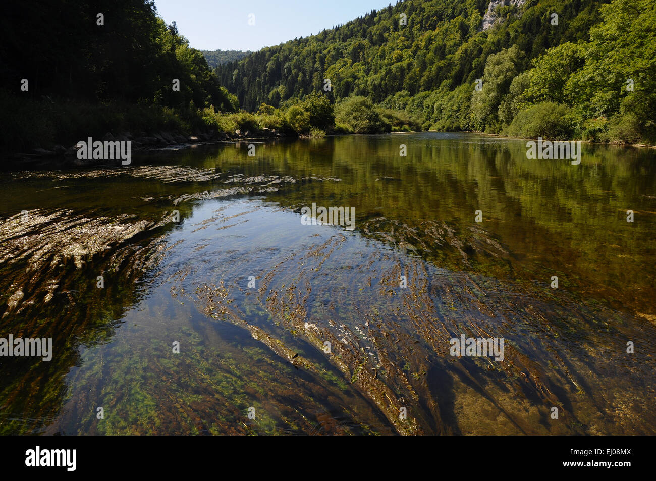 Switzerland, Europe, Jura, Doubs, river, flow, Clos du Doubs, Les Pommerats, Moulin Jeannotat, wood, forest, border, country bord Stock Photo