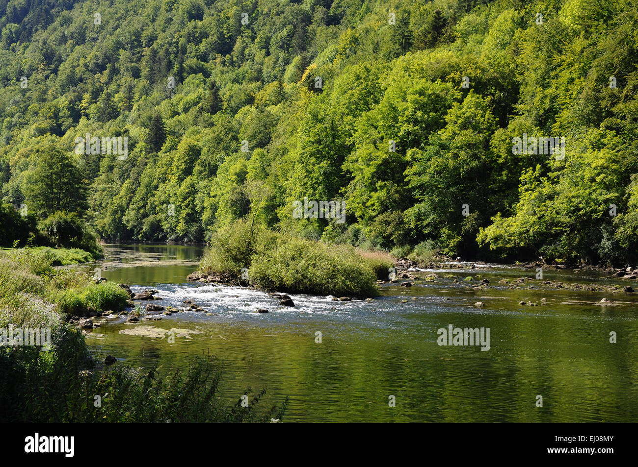 Switzerland, Europe, Jura, Doubs, river, flow, Clos du Doubs, Les Pommerats, Moulin Jeannotat, wood, forest, border, country bord Stock Photo