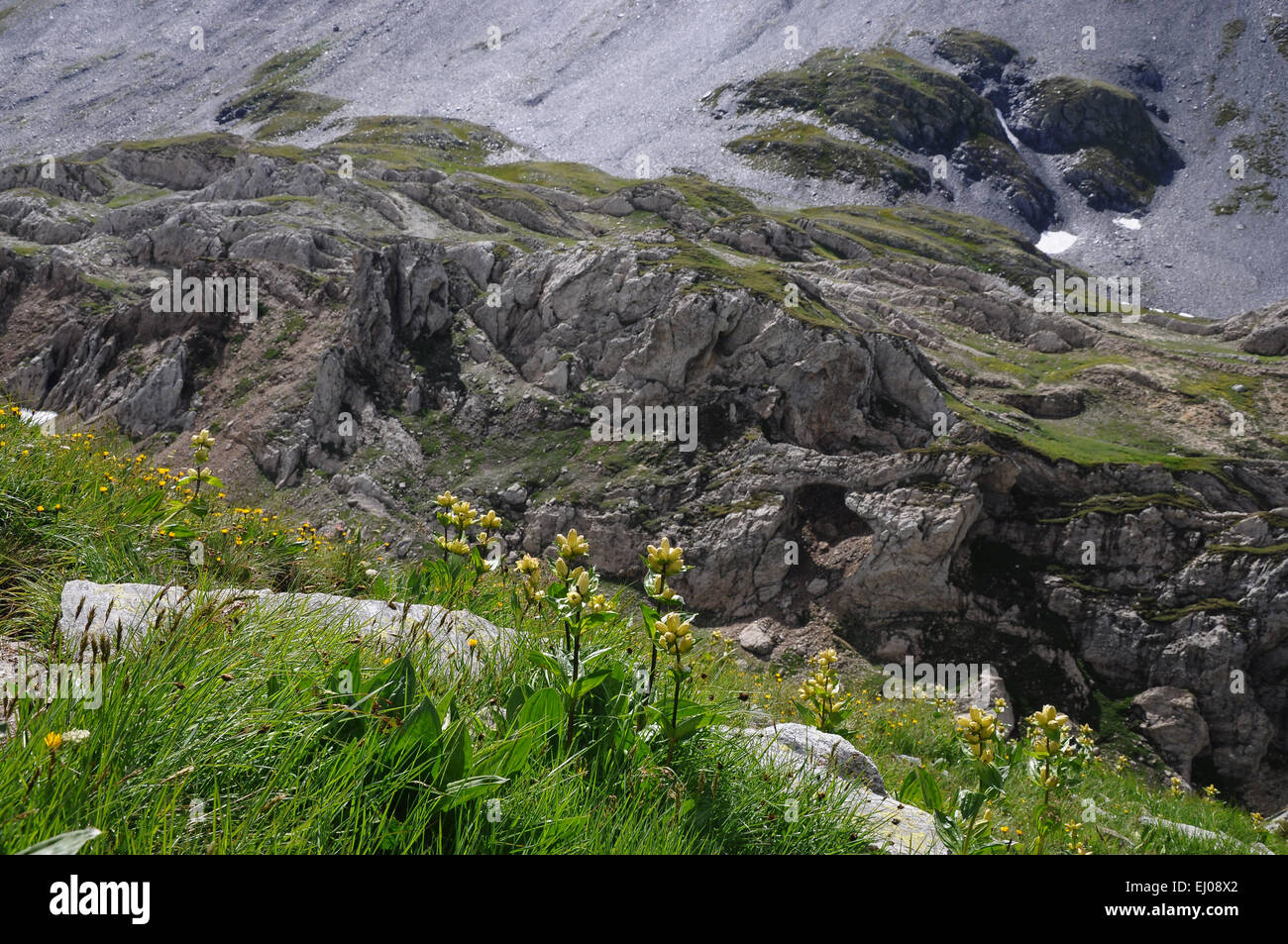 Switzerland, Europe, Ticino, Greina, Parco Adula, Passo della Greina, Pass Crap, Greinapass, rock, cliff, mountain pasture, spott Stock Photo