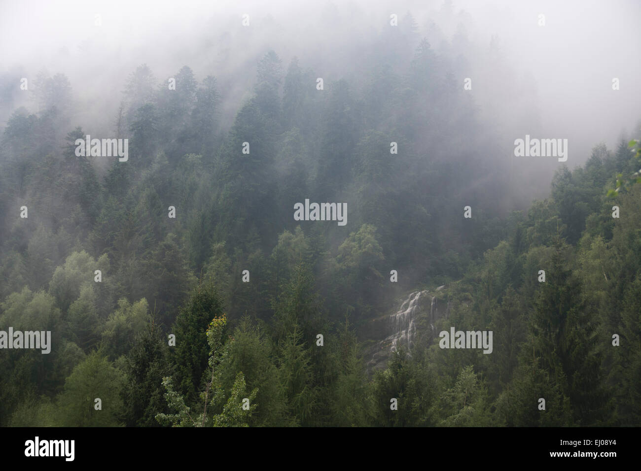 Switzerland, Europe, Ticino, Valle di Vergeletto, wood, forest, waterfall, fog, Parco Nazionale del Locarnese Stock Photo