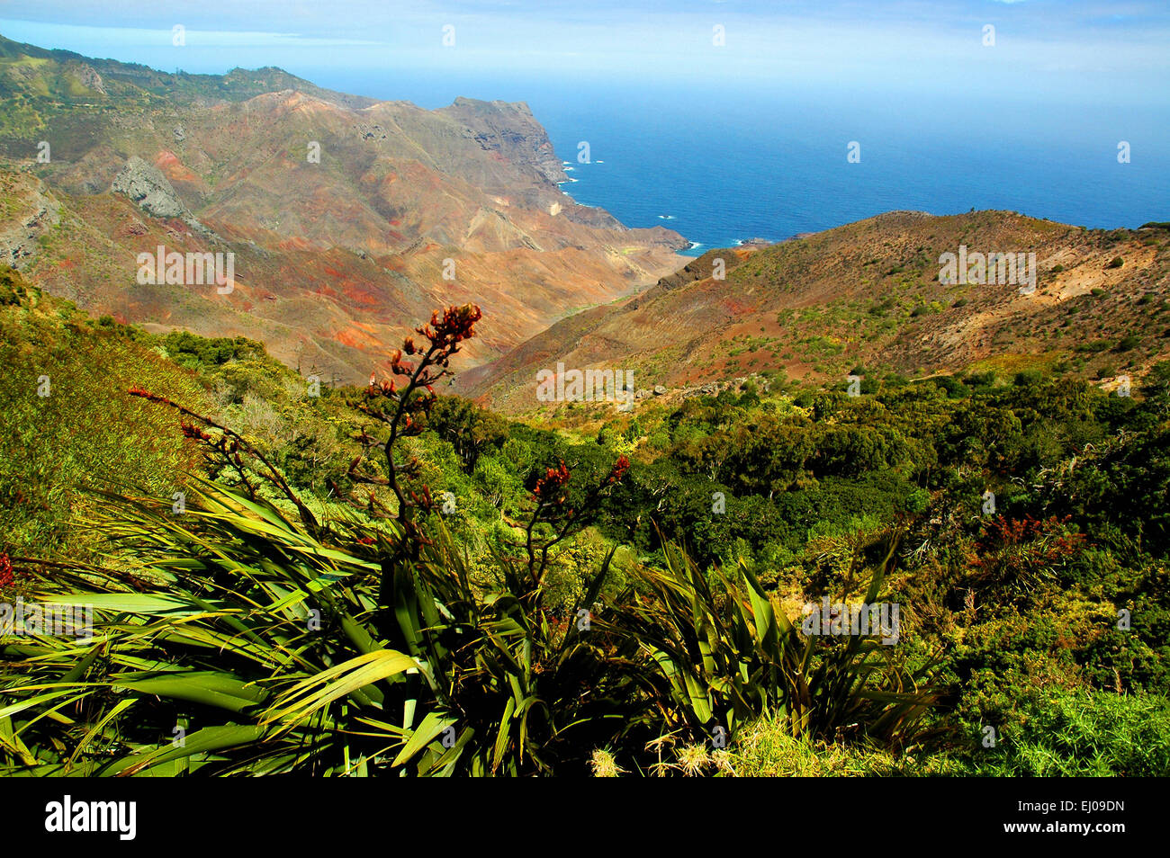 St helena bay hires stock photography and images Alamy