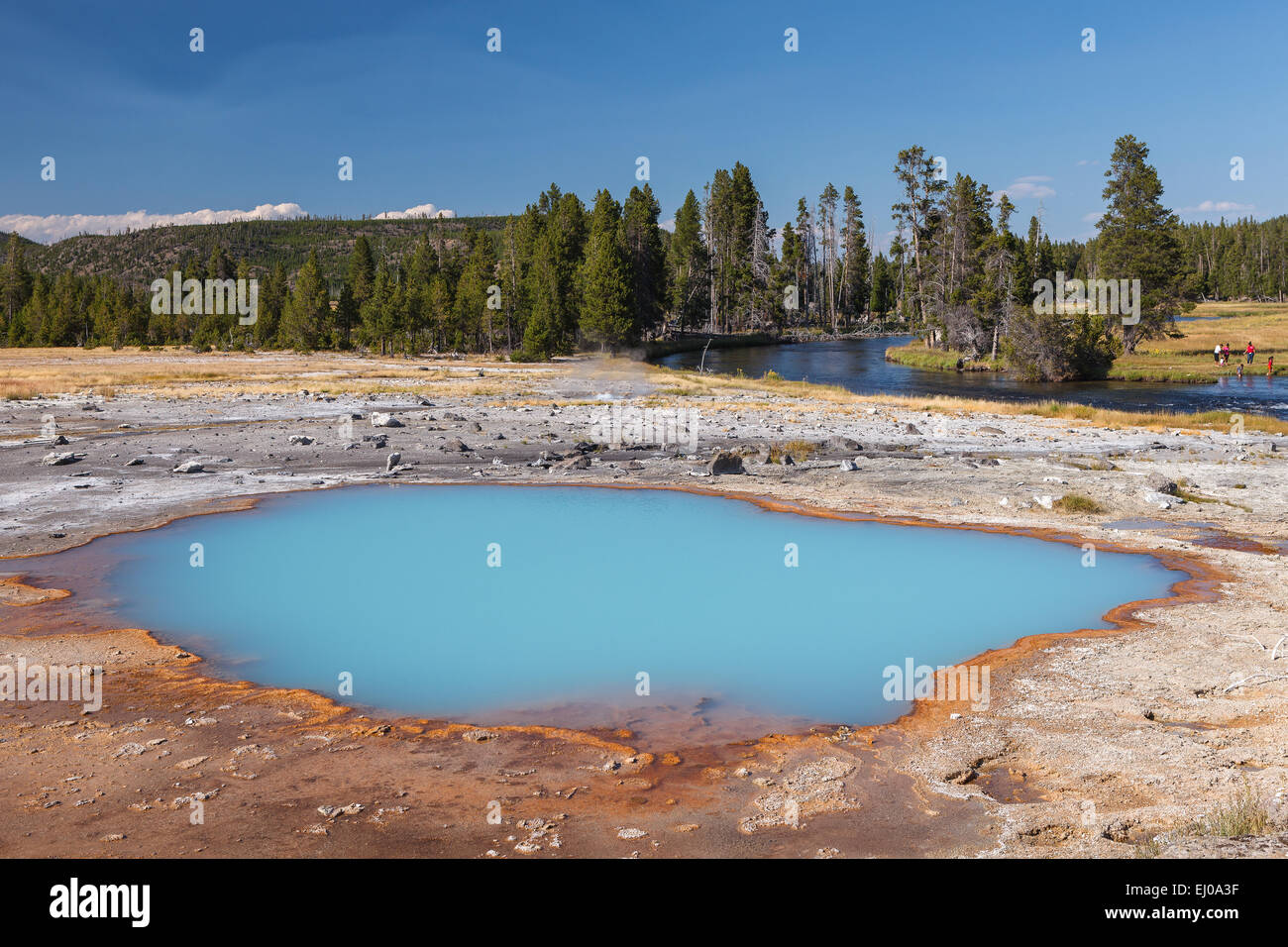 Black Opal Pool, Biscuit Basin, in the Upper Geyser Basin. Yellowstone National Park, Wyoming, United States of America. Stock Photo