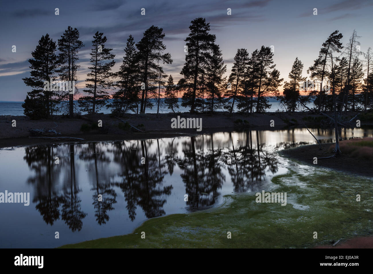 A pond by Yellowstone Lake (seen in the background) in the evening. Yellowstone National Park, Wyoming, United States of America Stock Photo