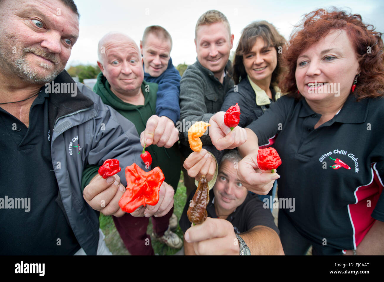 Members of the Clifton Chilli Club from Bristol with some of their produce meeting at the Dovercourt Allotments UK Stock Photo