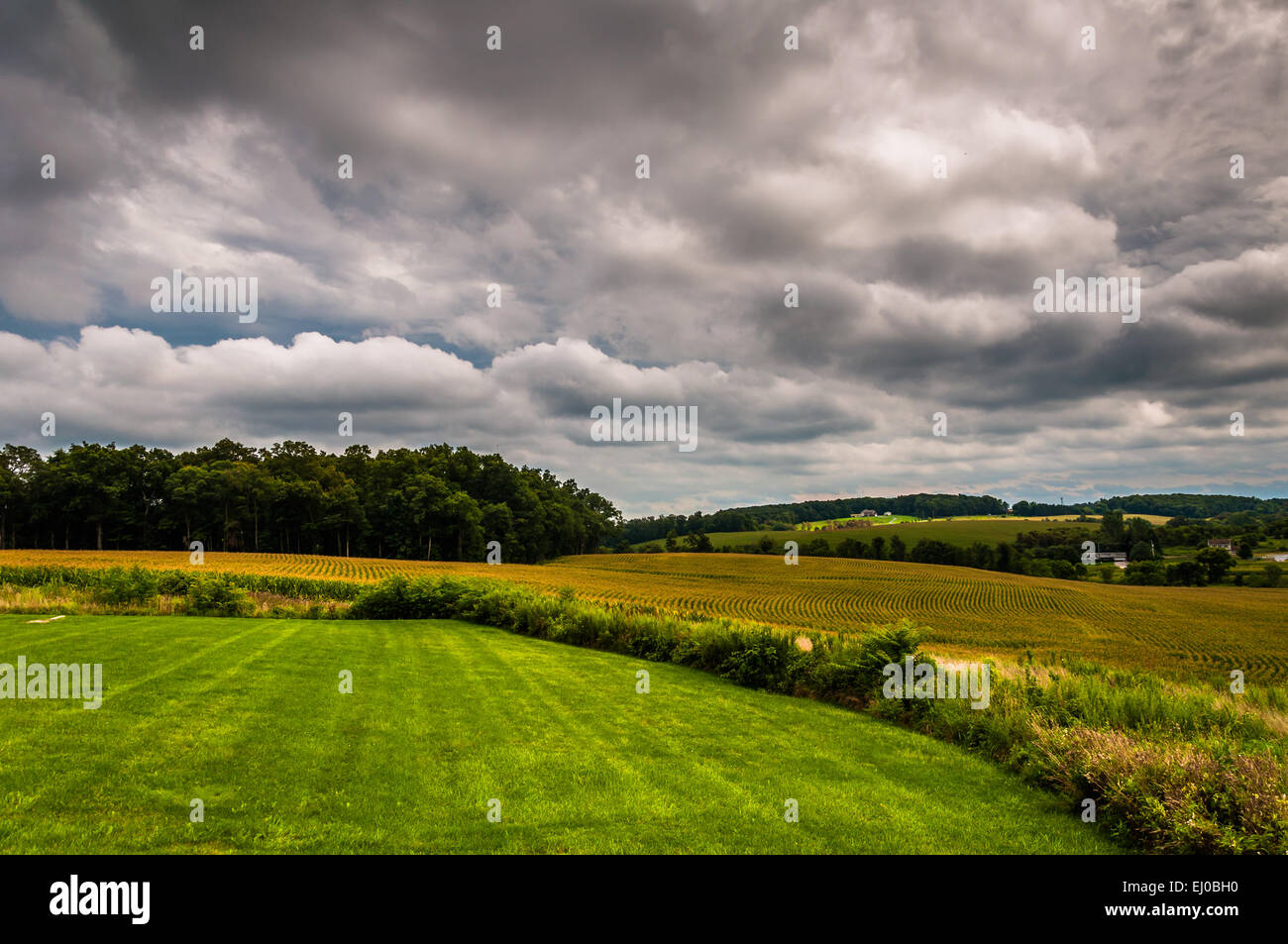 Pennsylvania farm fields corn hi-res stock photography and images - Alamy