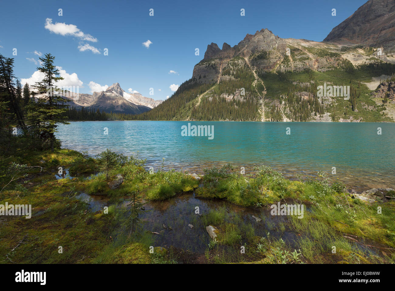Beautiful Lake O'Hara in Yoho National Park, British Columbia, Canada, America. Stock Photo