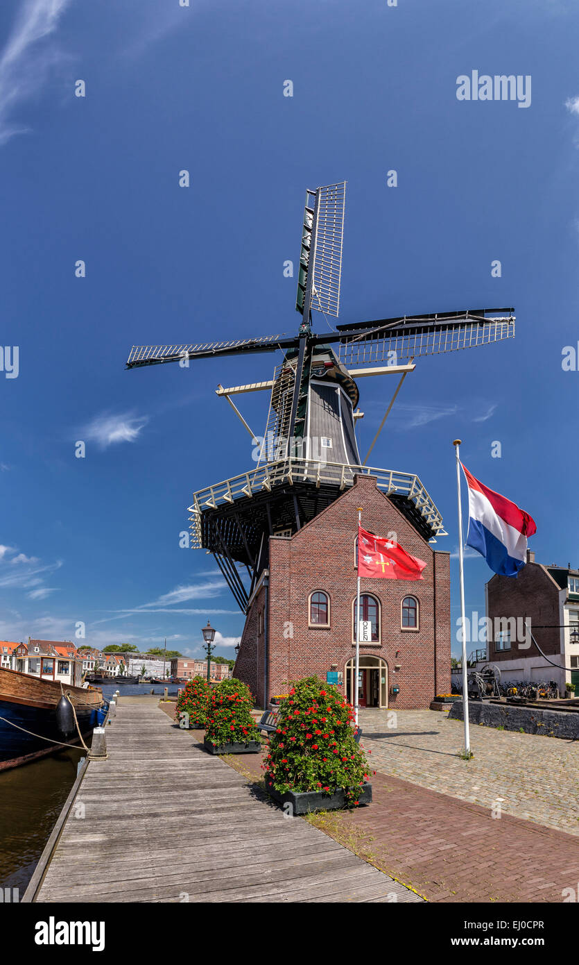 Haarlem, Netherlands, Holland, Europe, windmill, summer, flag, Tower windmill, De Adriaan Stock Photo
