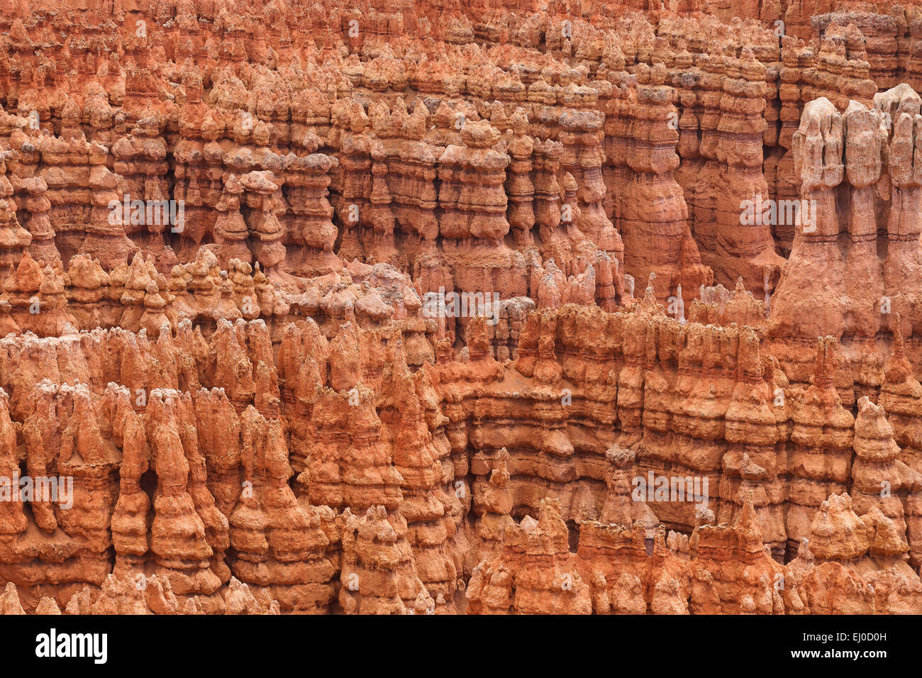 Detail of the hoodoos at Brycen Canyon National Park, Utah, United States of America. Stock Photo