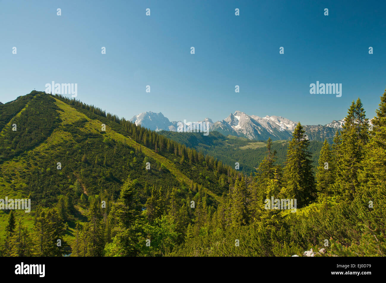 Bavaria, Europe, Germany, Berchtesgaden country, Bad Reichenhall, Reichenhall, mountain, mountains, Alps, Watzmann, Hochkalter, H Stock Photo