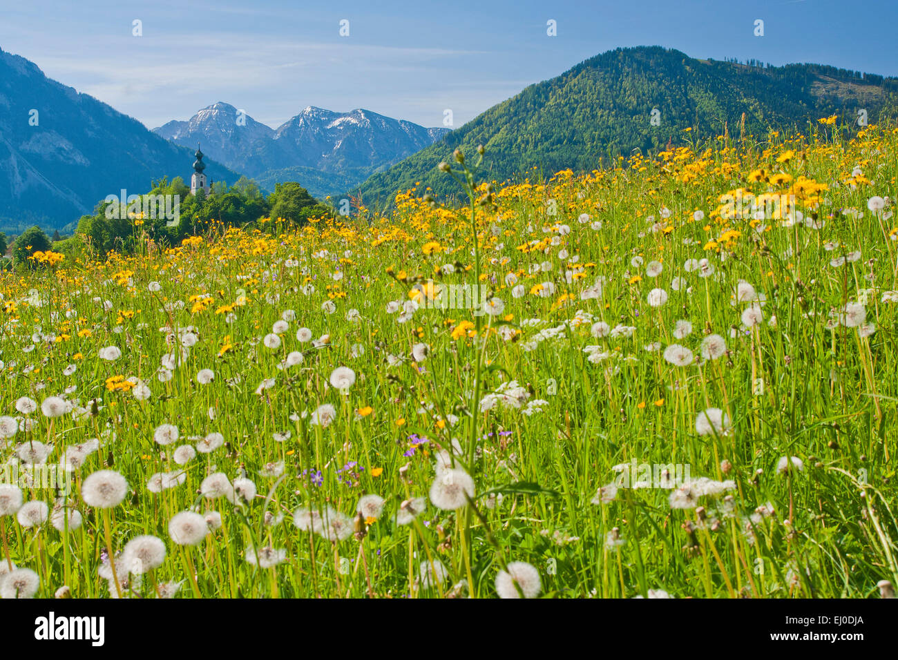 Ruhpolding High Resolution Stock Photography and Images - Alamy