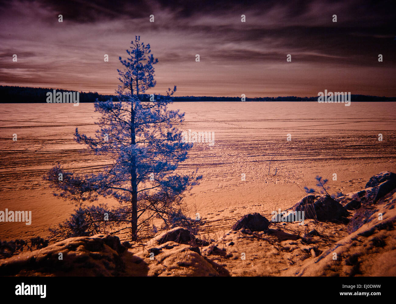 Very artistic infrared photo of an icy lake in the winter in Finland. Surreal colors creates unique mood. Shot with infrared fil Stock Photo