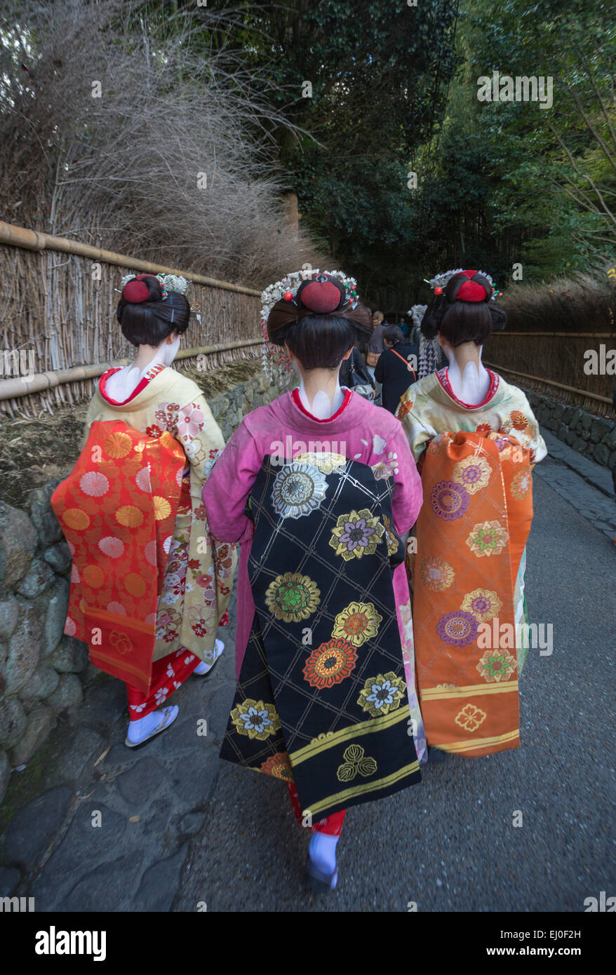 Japan, Asia, Kansai, Kyoto, Japanese, arashiyama, bambu, colourful, fall, geishas, no model-release, kimono, touristic, tradition Stock Photo