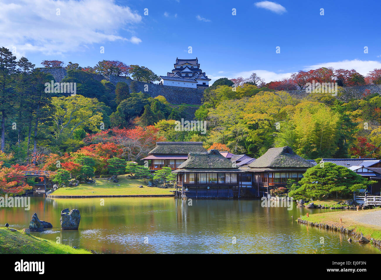 City, Garden  Hikone Castle, Genkyu, Hikone, Japan, Asia, Landscape, architecture, colourful, fall, history, house, houses, no pe Stock Photo