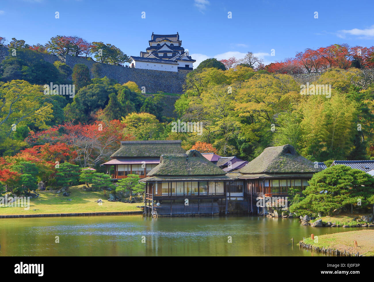 City, Garden  Hikone Castle, Genkyu, Hikone, Japan, Asia, Landscape, architecture, colourful, fall, history, house, houses, no pe Stock Photo