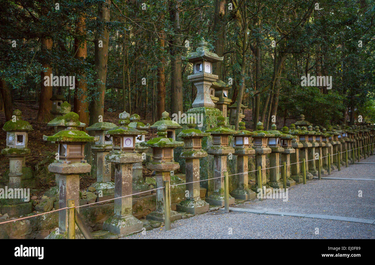 world heritage, City, Japan, Asia, Kansai, Kasuga, Nara, architecture, colourful, history, lanterns, no people, park, shrine, tor Stock Photo