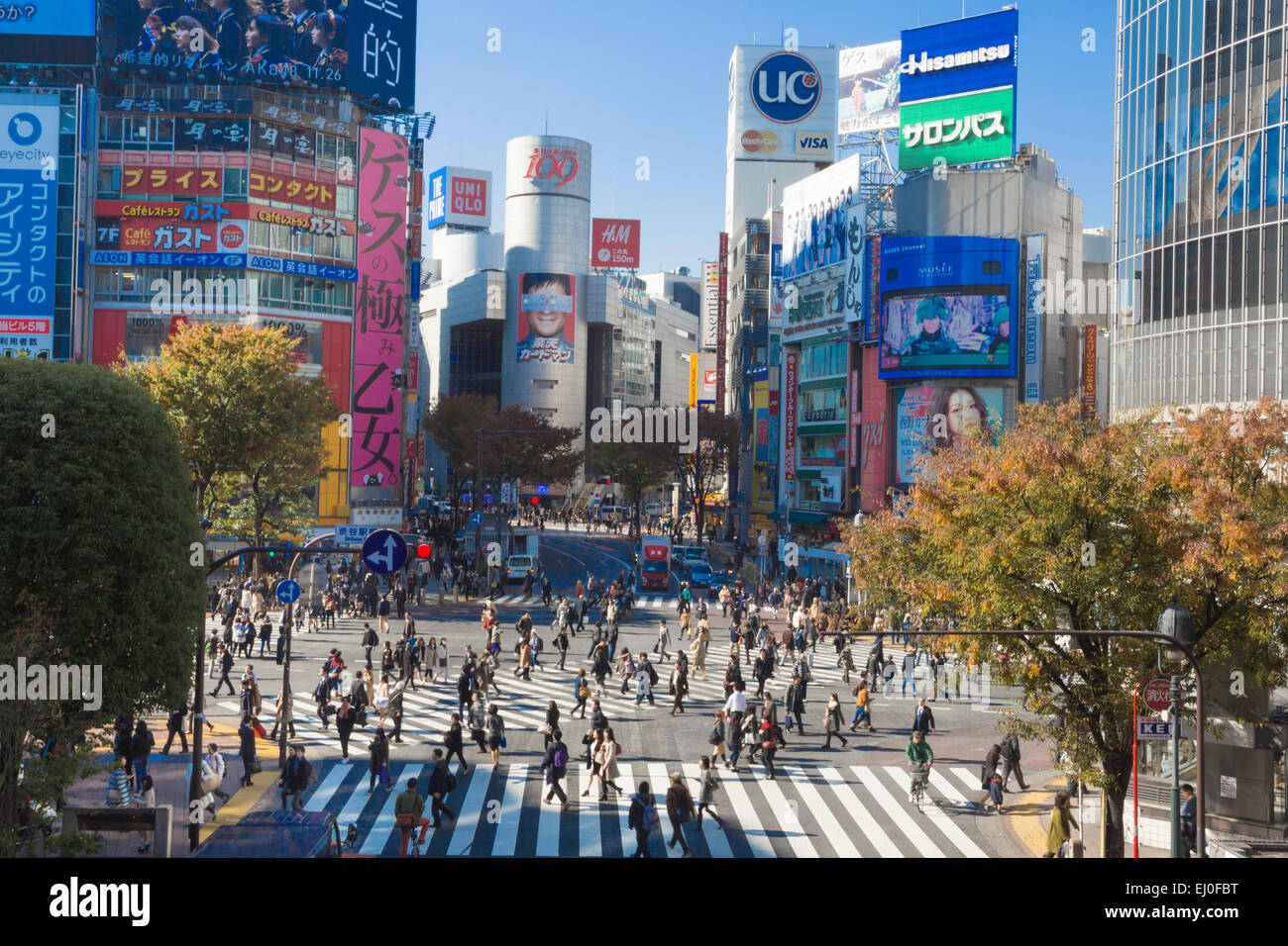 Center, City, Hachiko, Japan, Asia, Tokyo, architecture, autumn, colourful, commercials, advertising, crossing, fall, famous, ped Stock Photo