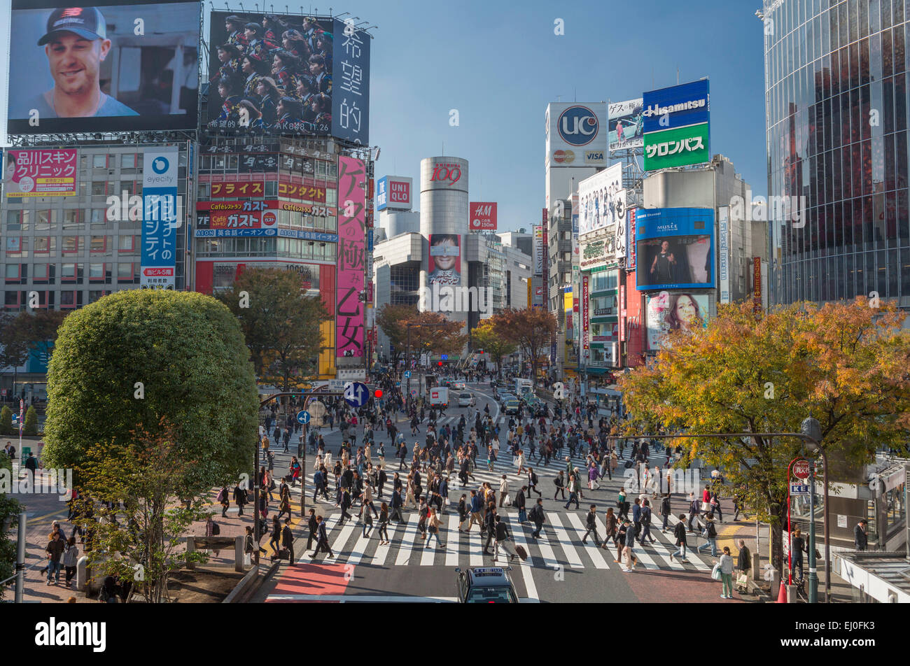 Center, City, Hachiko, Japan, Asia, Tokyo, architecture, autumn, colourful, commercials, advertising, crossing, fall, famous, ped Stock Photo