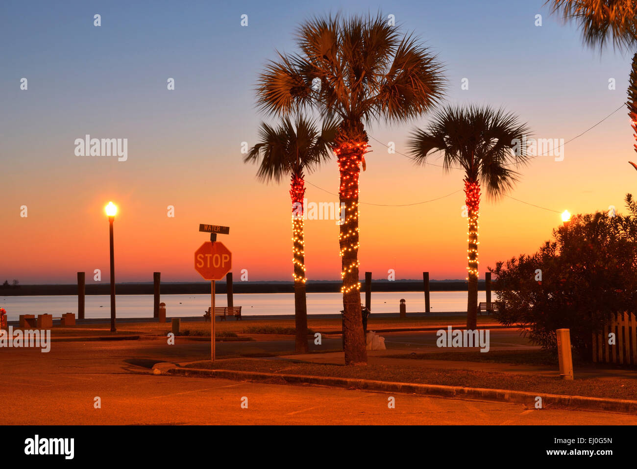USA, Florida, Franklin County, Apalachicola, decorated palm trees at the river, Stock Photo
